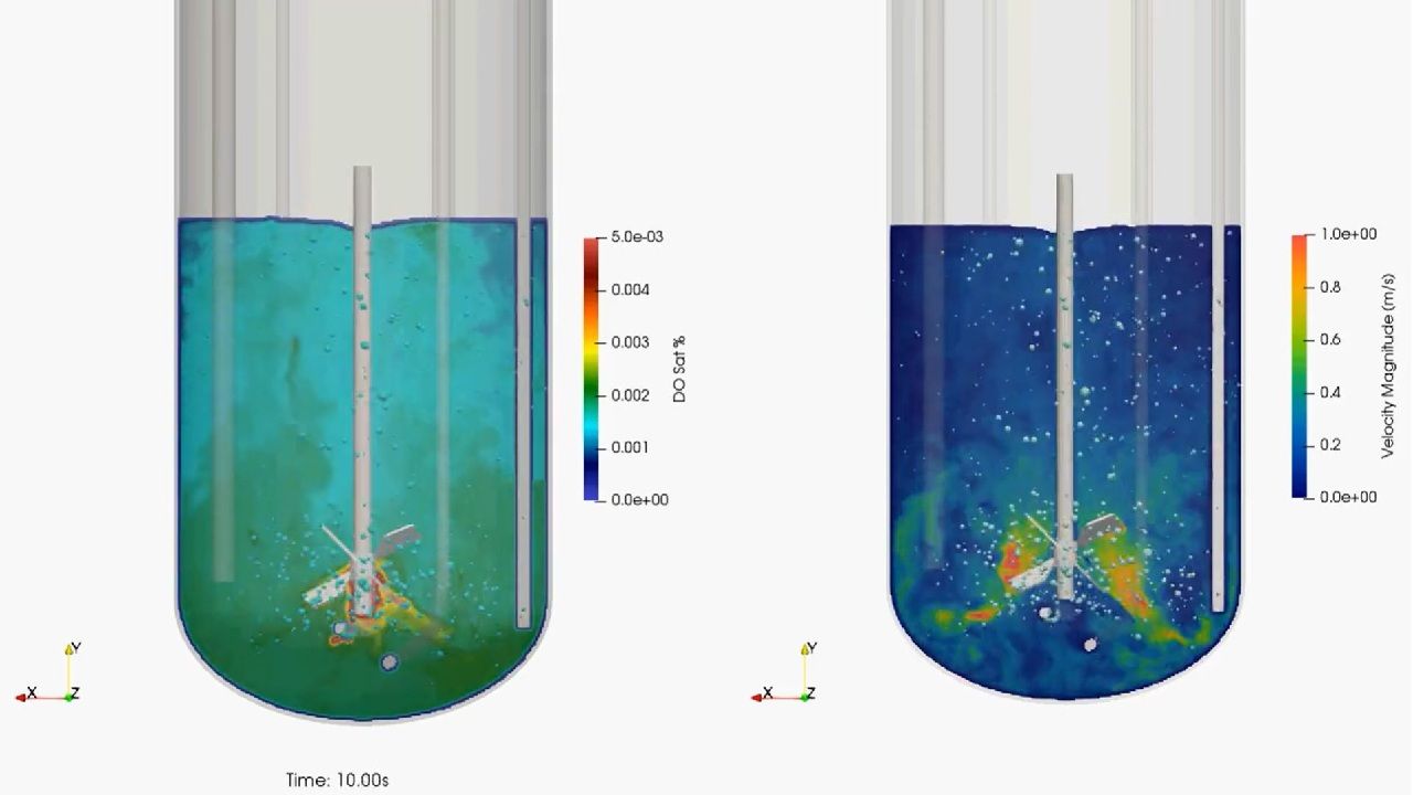Bioreaktorsimulering, der viser væskeblanding, gasdispersion, niveauer af opløst ilt og hastighedsfordeling.