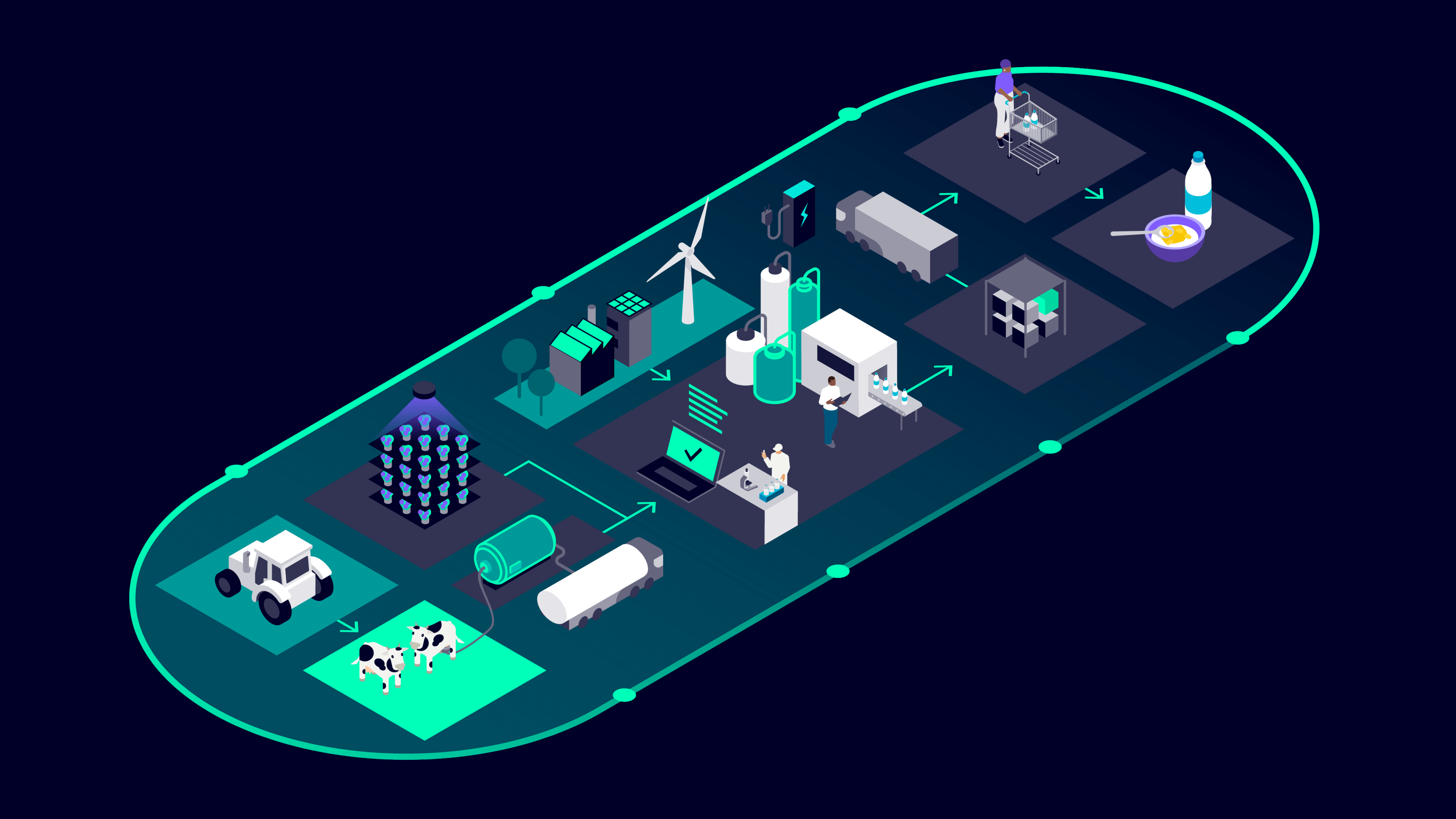 Visual representation of the end-to-end dairy value chain