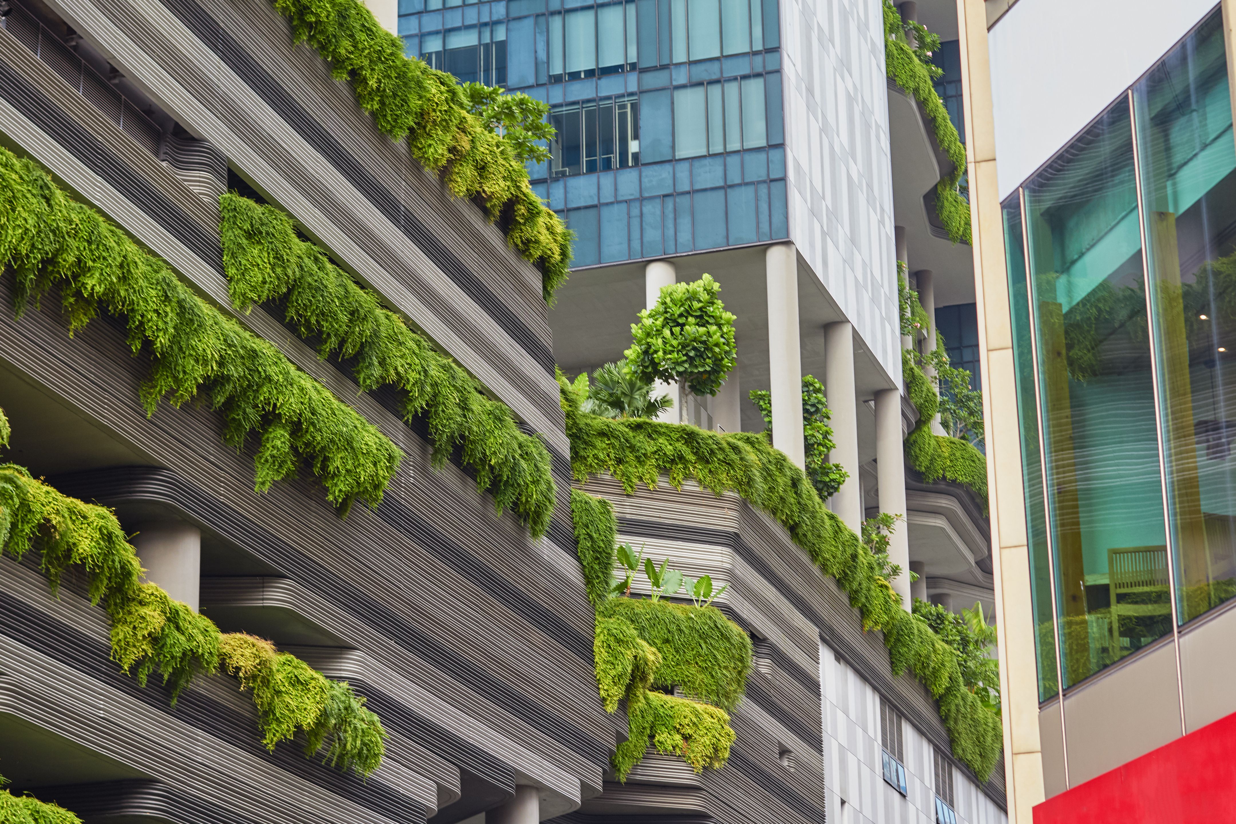 Modern architecture featuring green balconies with lush plants in an urban environment
