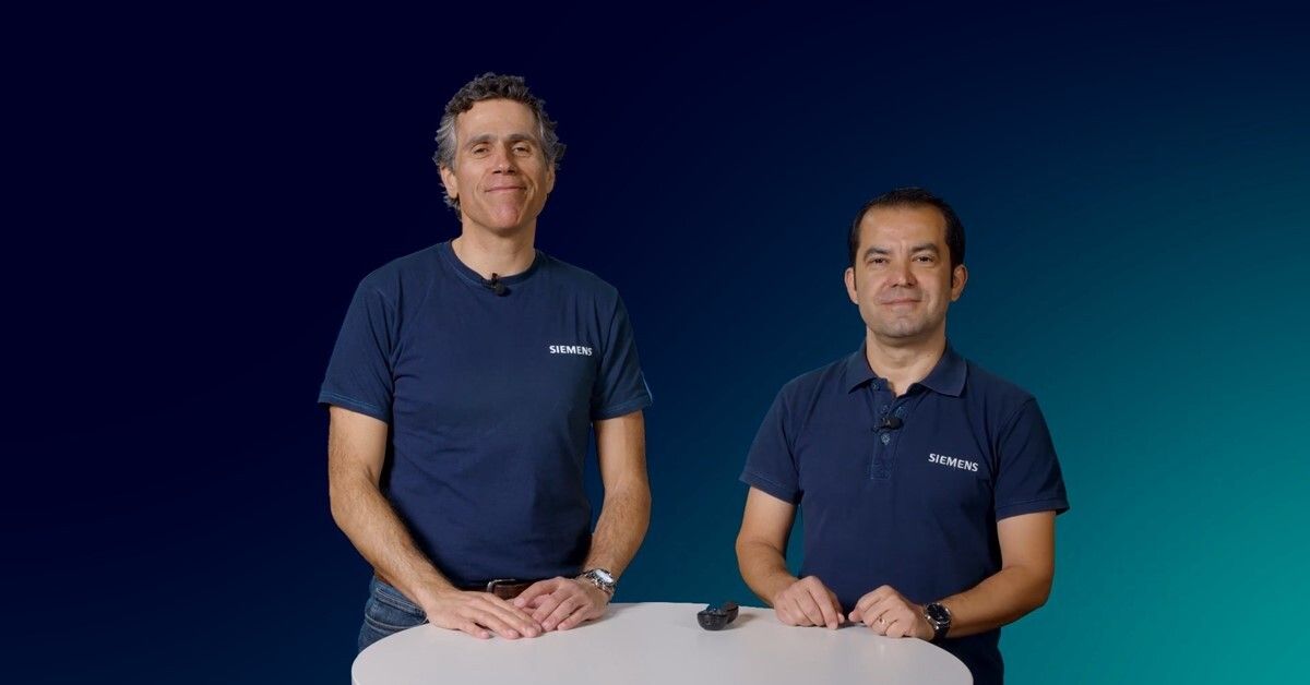 Pedro Gomes and Deger Tasdelen for air-insulated switchgear expert tutorial