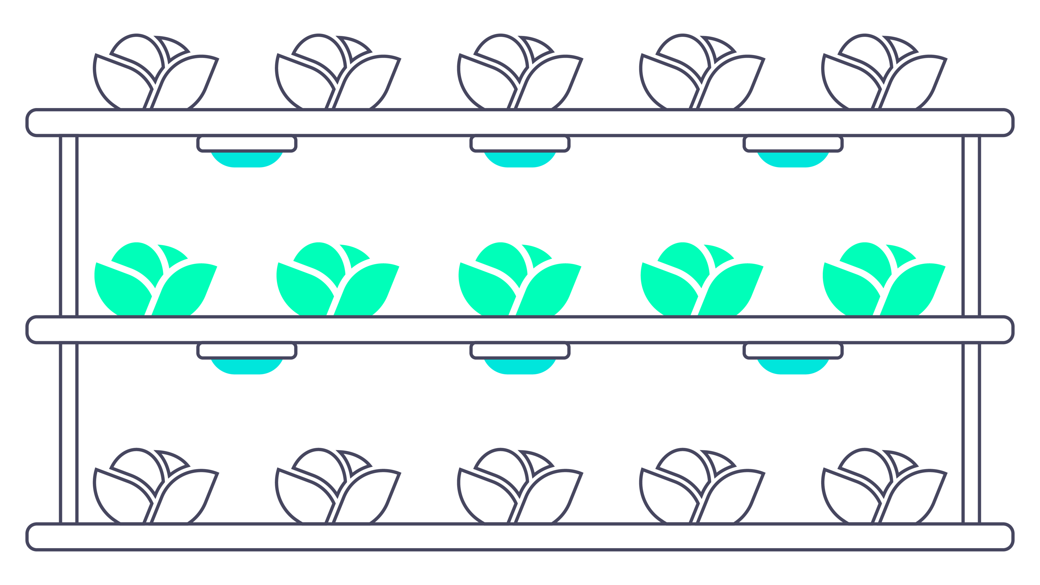 Illustrated rows of indoor crops in an automated setup.
