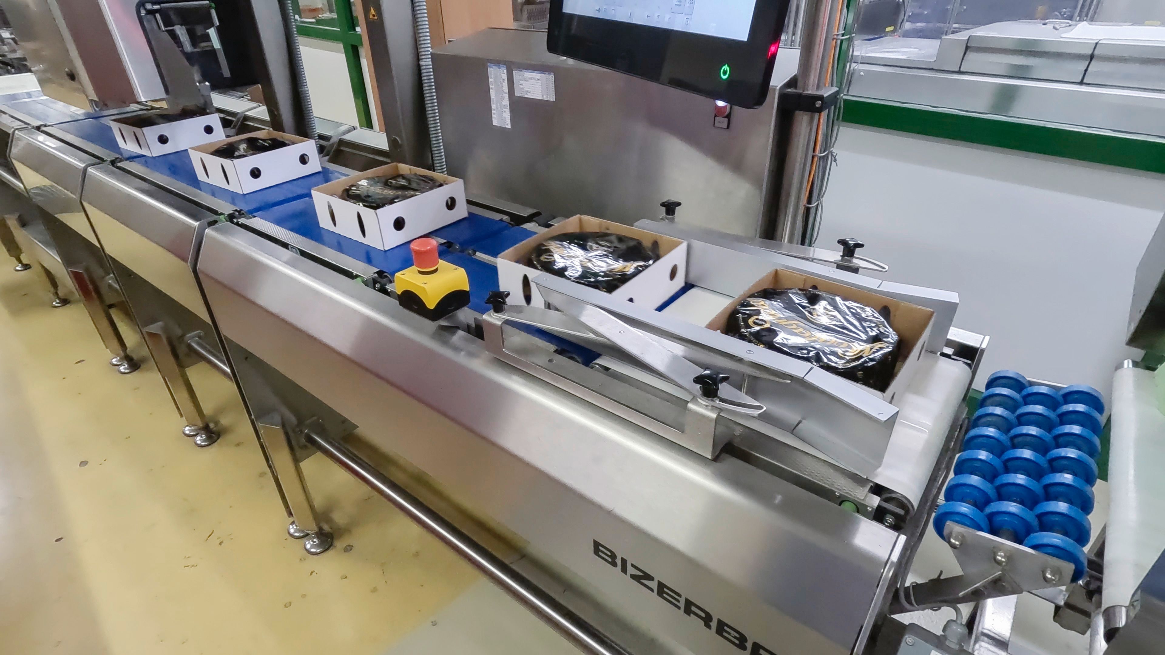 Automated packaging and sorting line at the Champignon dairy production facility.