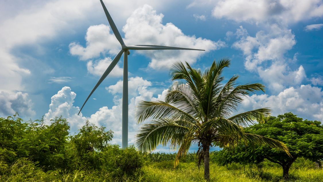 wind turbine in-between palms