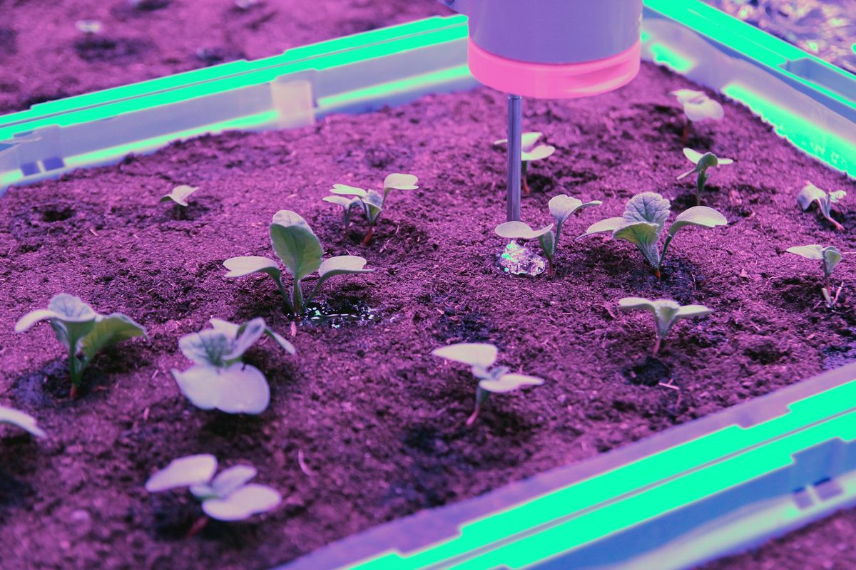 indoor farming