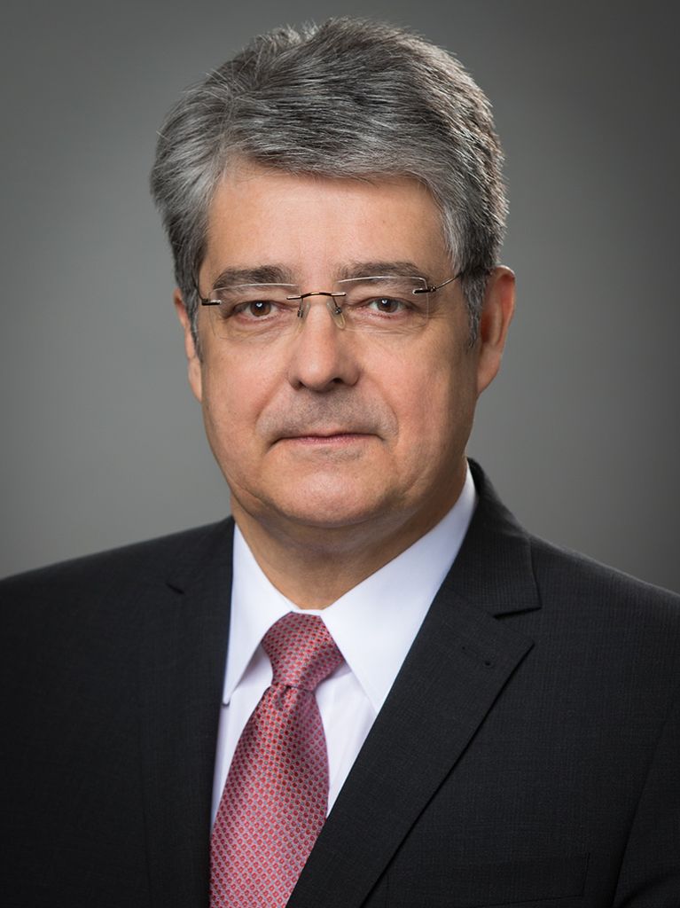 Ing. Wolfgang Hesoun