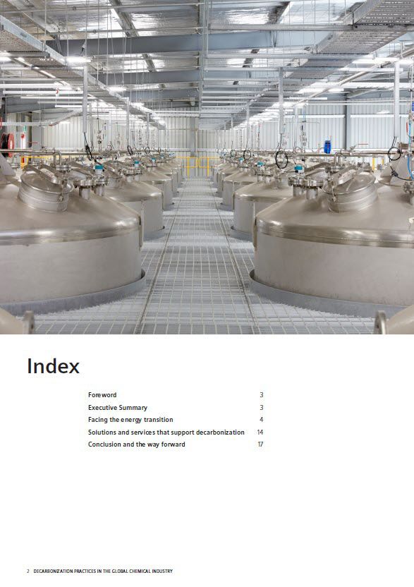 Whitepaper: Decarbonizing practices in the global chemical industry index
