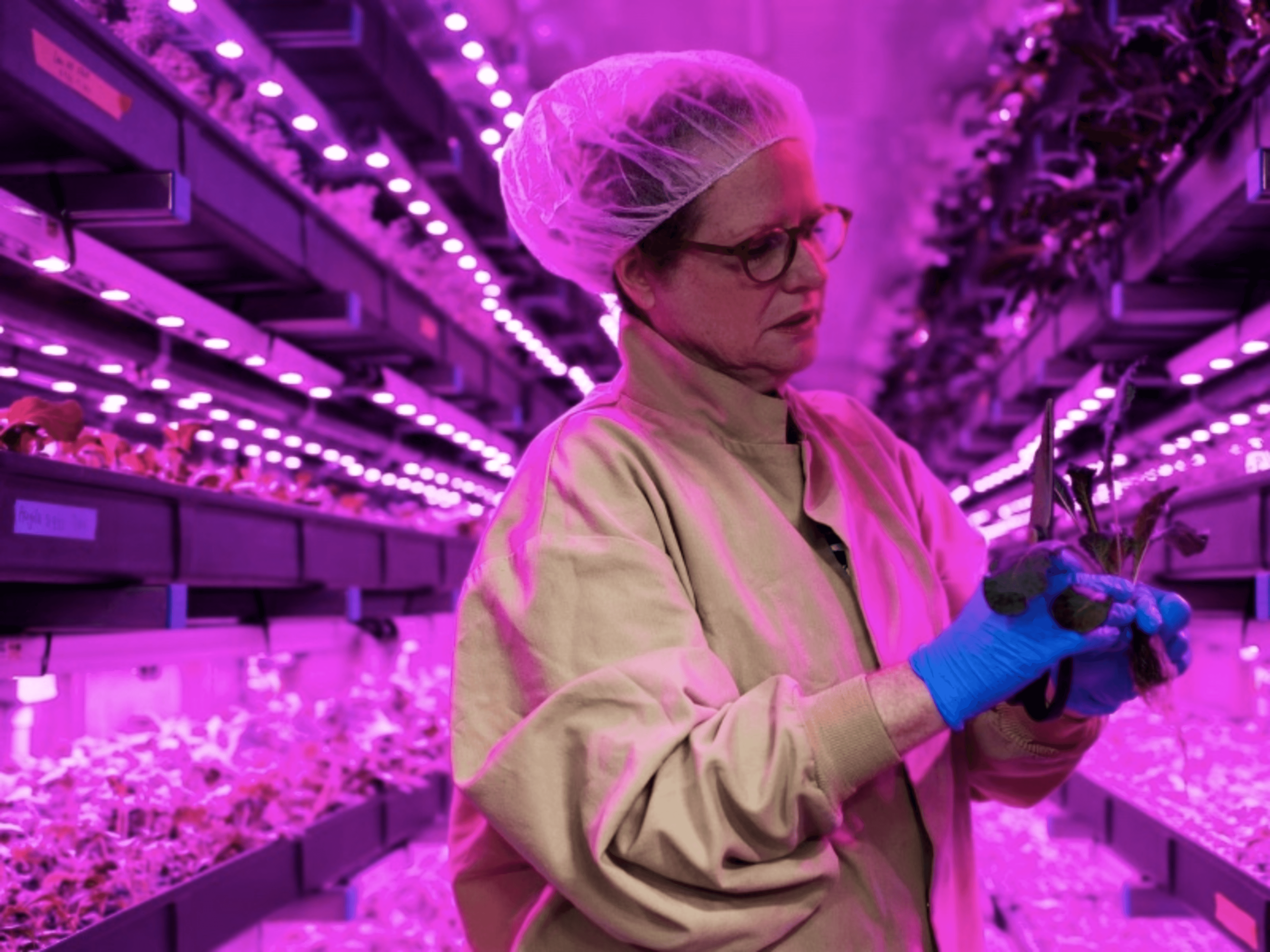 12m Contained Farm Interior with employee