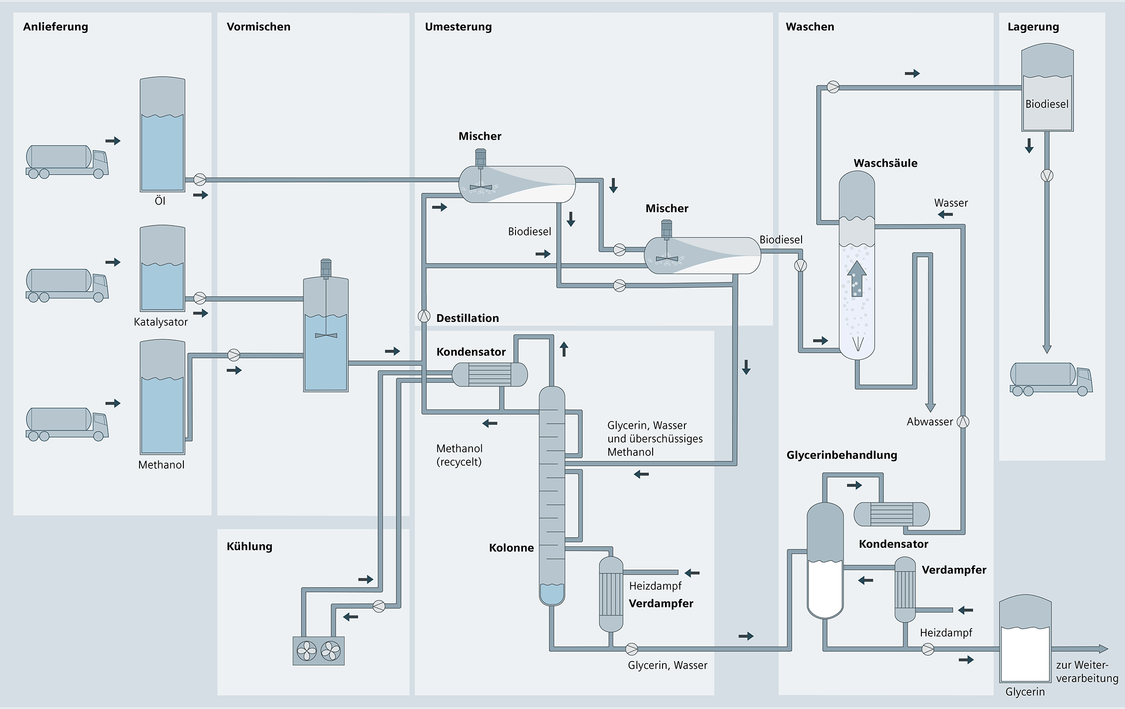 Schema of an biotechnological process