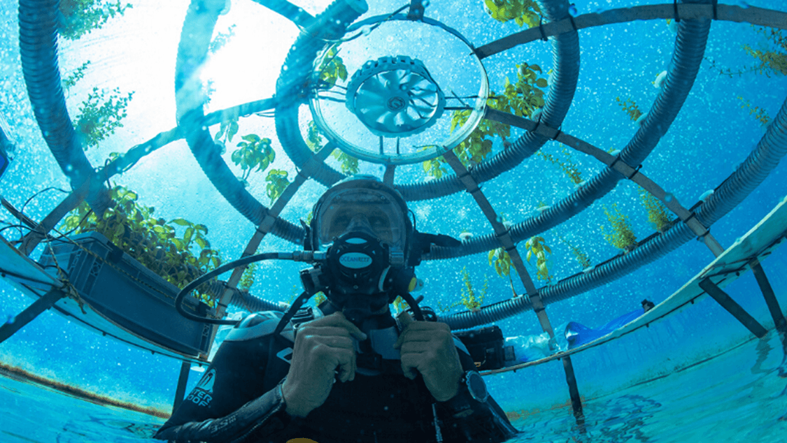 Nemo's garden underwater farm