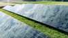 solarpaneele auf grüner Wiese