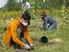 WORLD-ENVIRONMENT-DAY-2021-sustainability-tree-planting-canada-employees