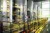 Sustainable, robust, and advanced sugar production