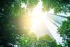 Energy and sustainability – the new competitive edge