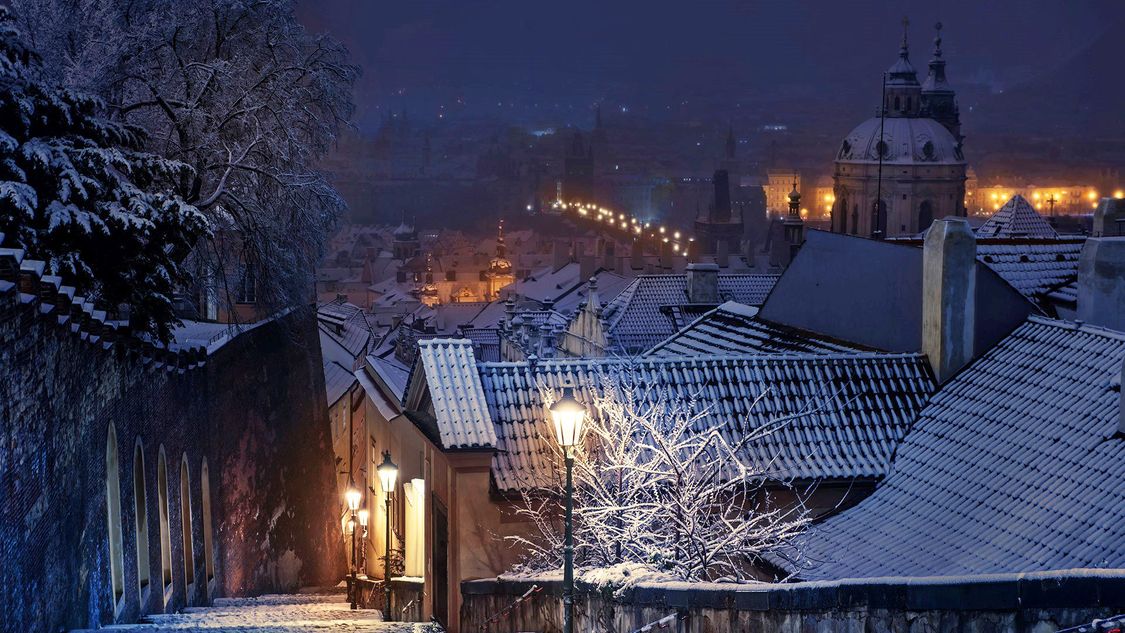 Winter Landscape