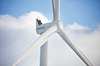 wind-turbines-generate-electricity-sustainably-and-efficiently