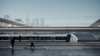 Ein Mireo fährt in einen Bahnhof ein. Im Hintergrund ist eine Skyline zu sehen. Siemens Mobility Mireo