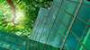 ground up image of a glass skyscraper office building lined by tall green trees