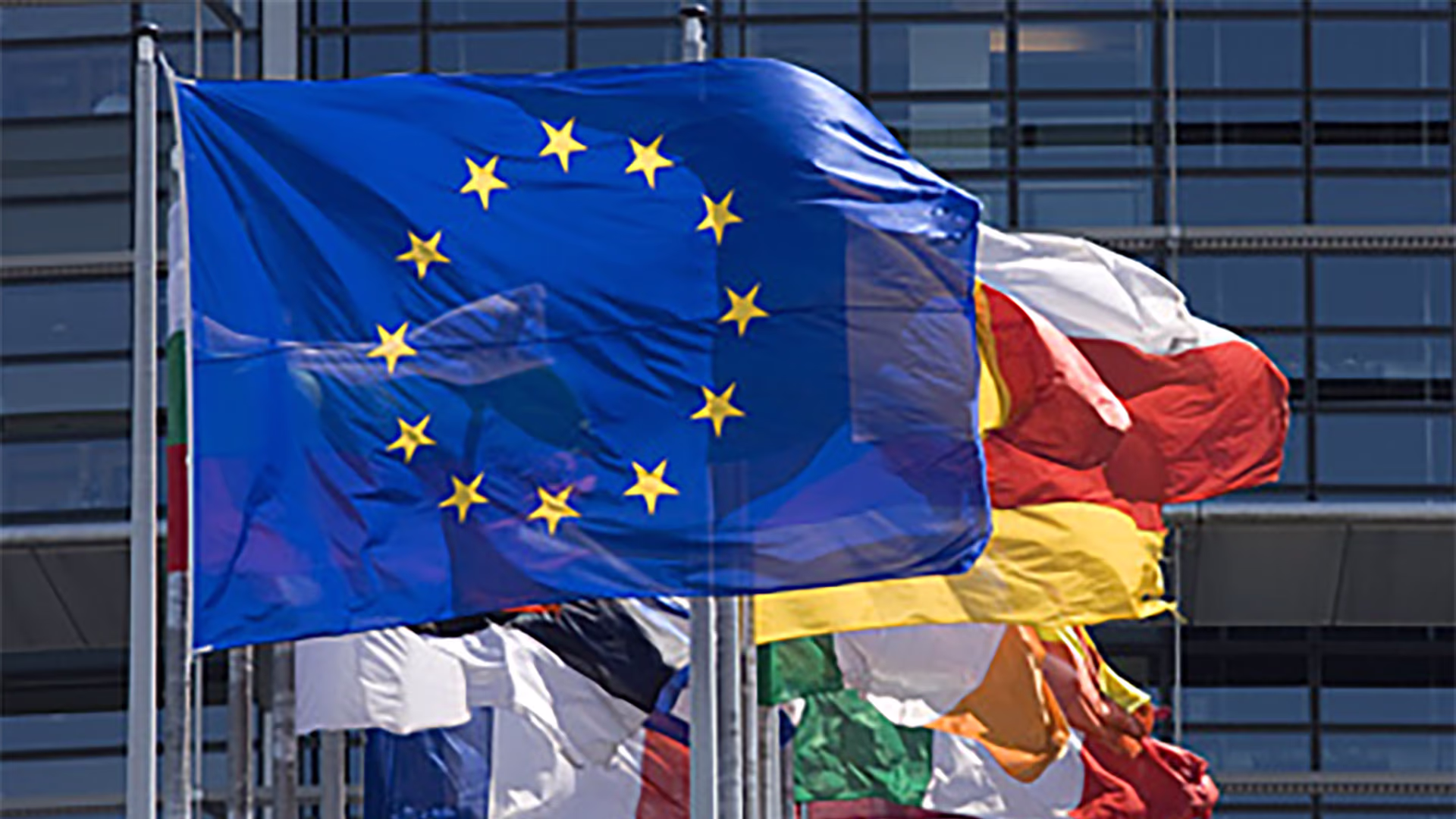 Flags in front of the European parliament. The EU flag is clearly visible. Europe Flags