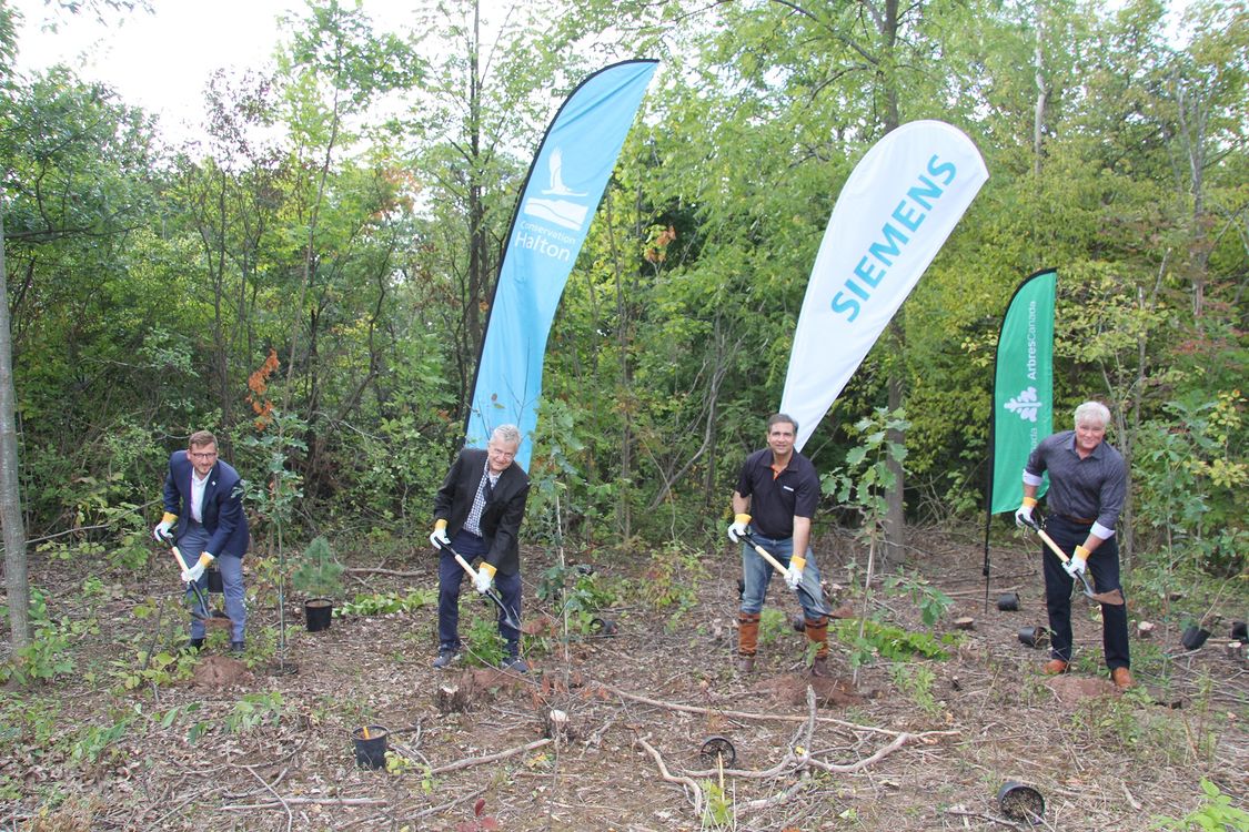 Siemens volunteers planting trees