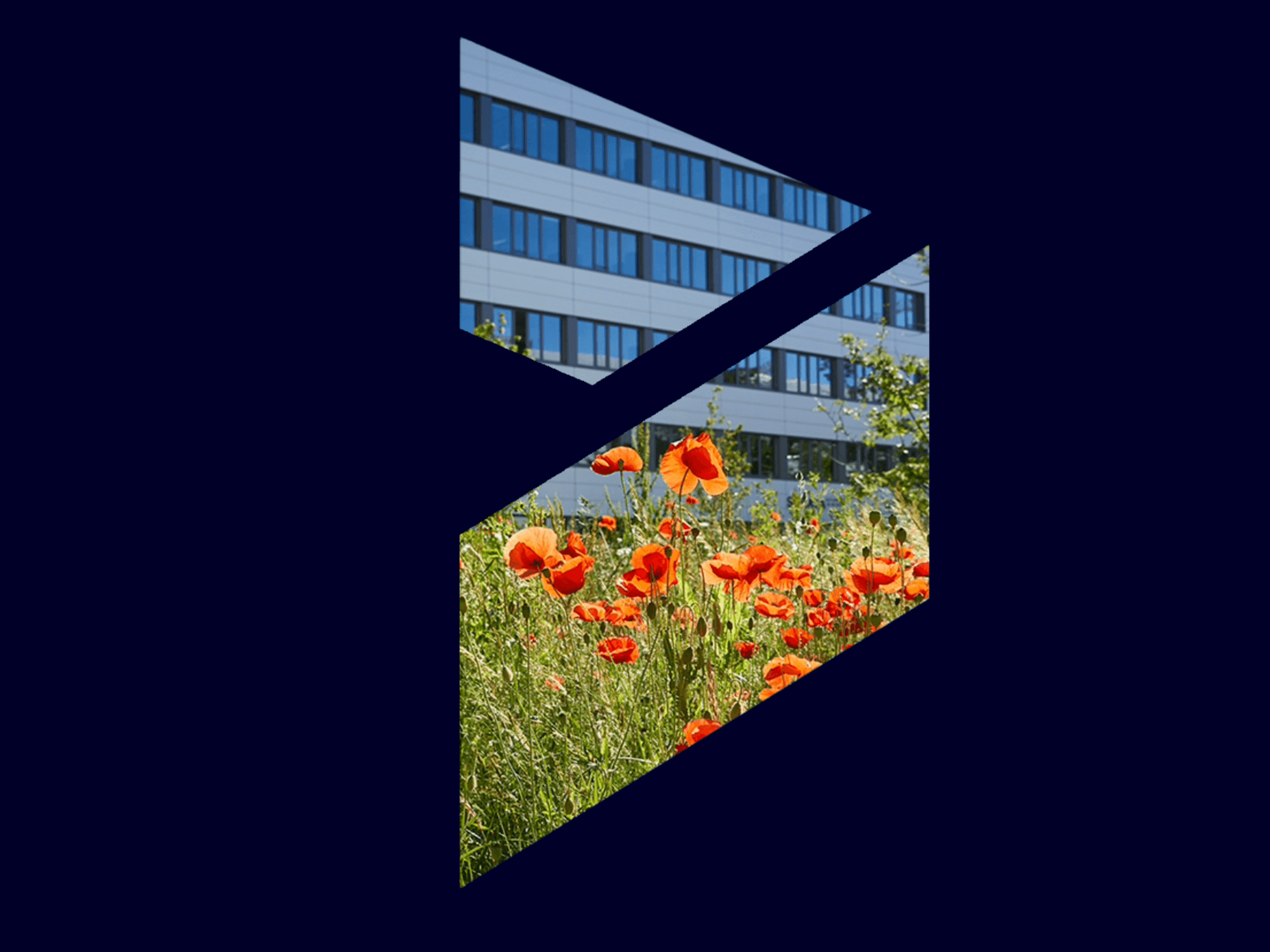 Nachhaltigkeit Consulting Siemens DE