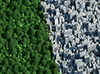 Green Trees Nature vs City Buildings sustainability