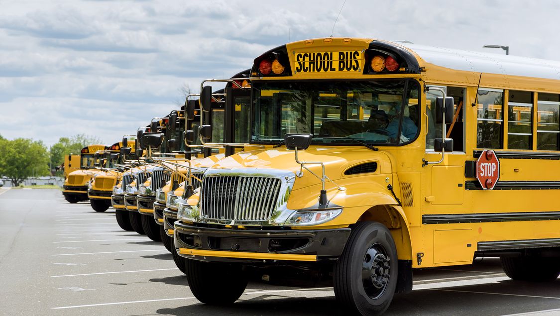 row of yellow school buses parked in a parking lot