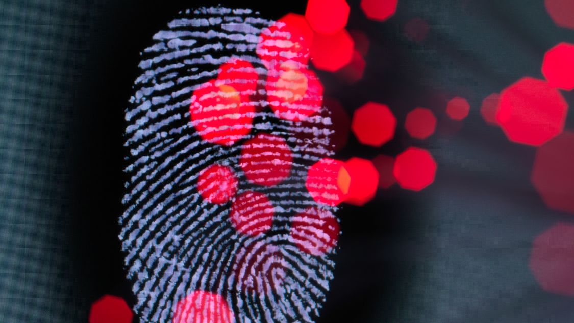 la digitalisation