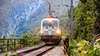 The Vectron Dual Mode in electric operation, in frontal view on the track with a forest backdrop.