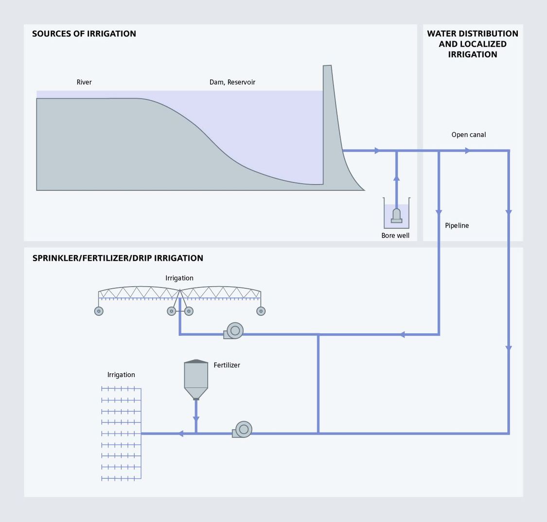 USA | Irrigation process