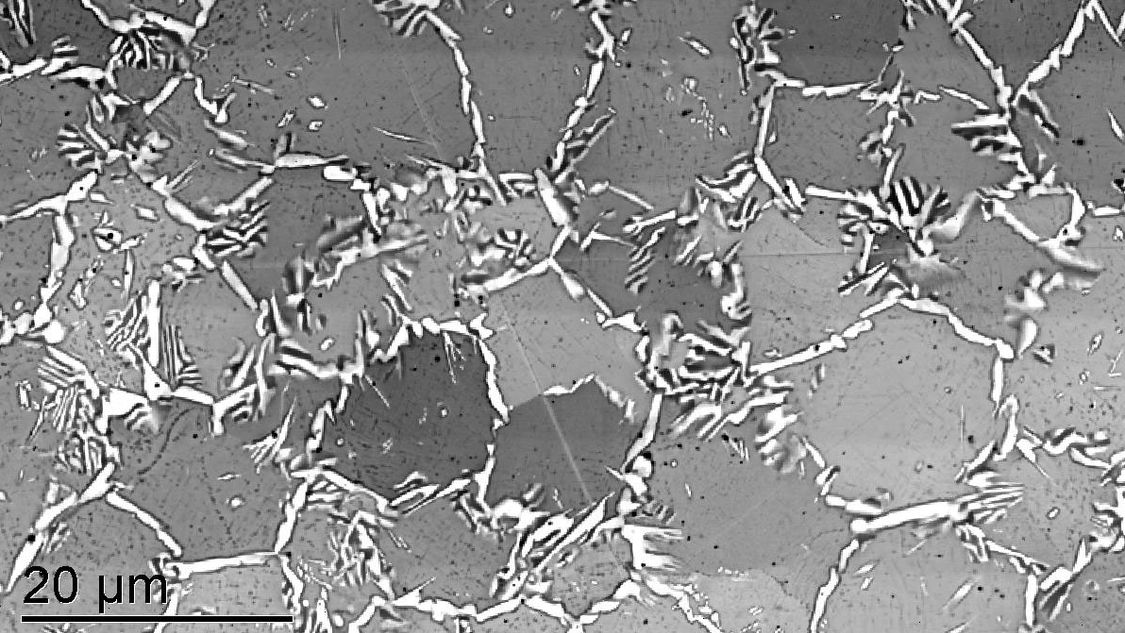 REM-Aufnahme eines 3D-gedruckten Materials: Die in weiß sichtbaren Korngrenzen beeinflussen die Materialeigenschaften entscheidend.