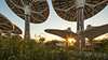 Visualization of buildings at Expo 2020 Dubai