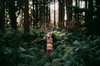Un garçon se tient dans la forêt et regarde vers le haut avec une longue-vue
