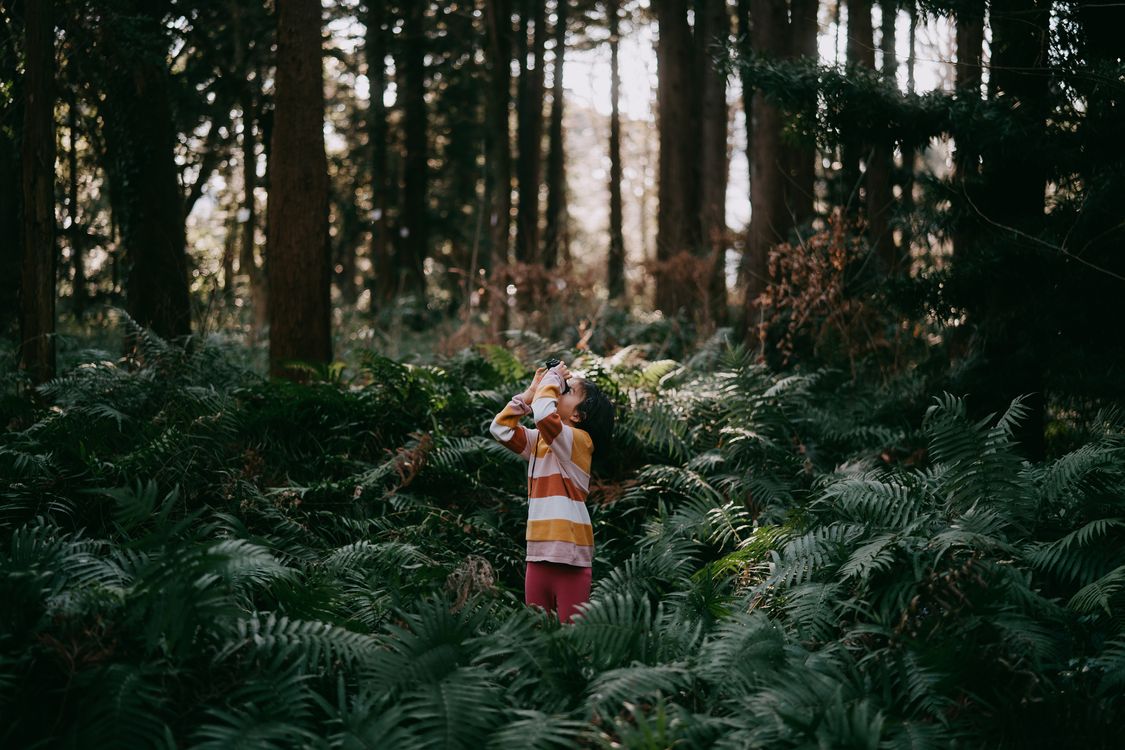 Kind im Wald blickt in den Himmel
