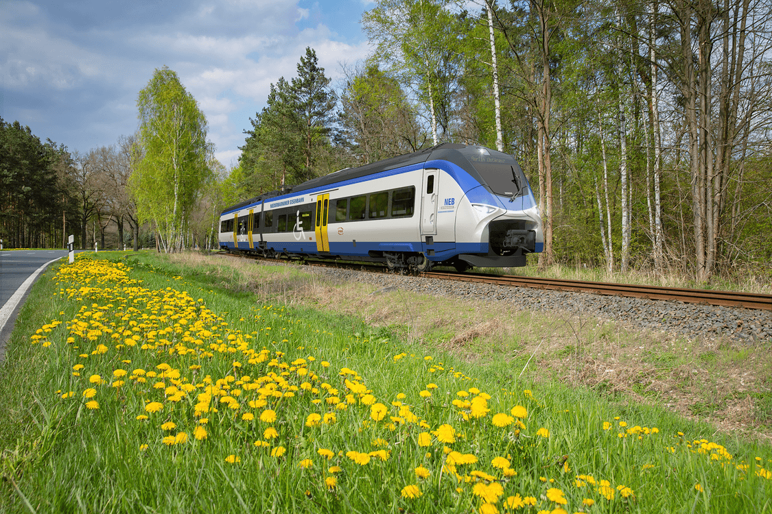 Sieć kolejowa wschodniej Brandenburgii otrzyma 31 pojazdów akumulatorowo-elektrycznych Mireo od Siemens Mobility