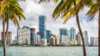 Miami Florida skyline