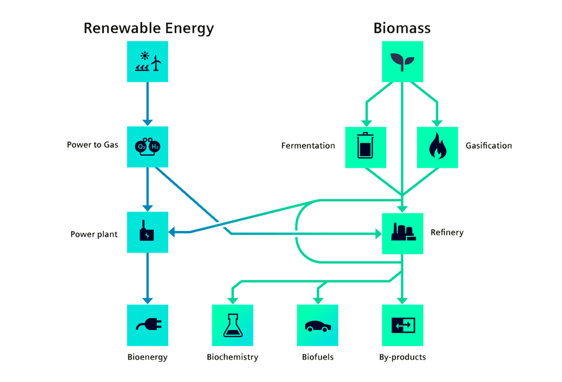 Grafik renewables biomass