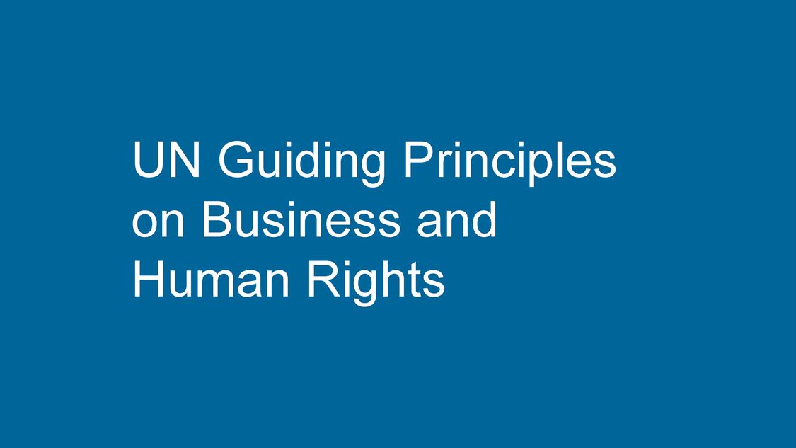 Human Rights Sustainability Siemens Global   Un Guiding Principles 