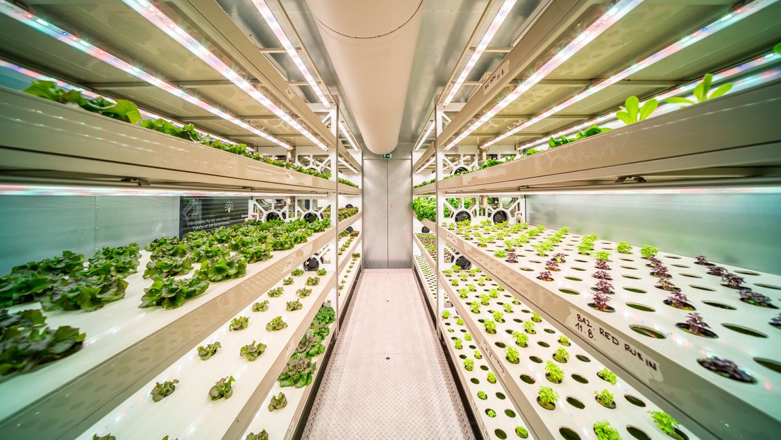 Application example of the product portfolio for vertical farming solutions