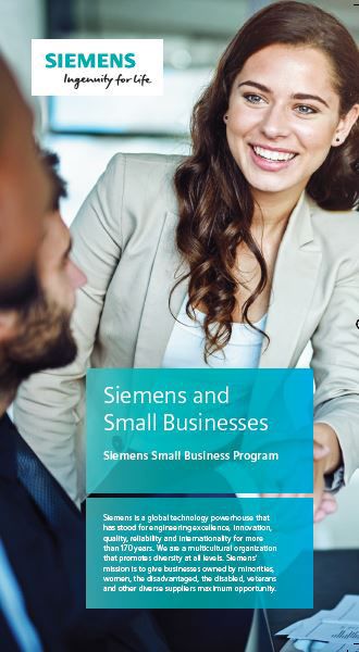 SGT Federal Small Business Brochure