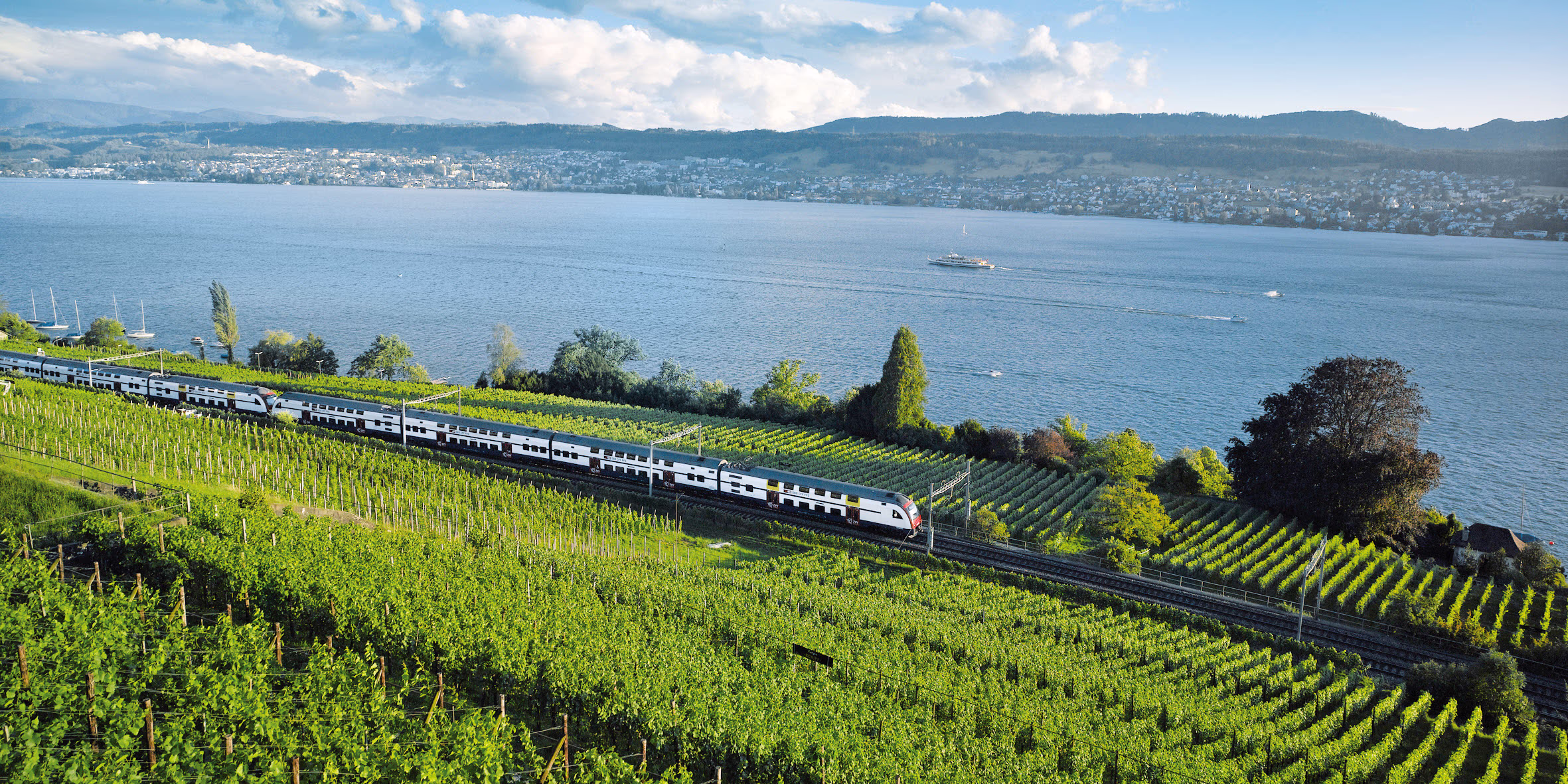 SBB Zug fährt durch Schweizer Landschaft mit See und Rebbergen Siemens Mobility Schweiz