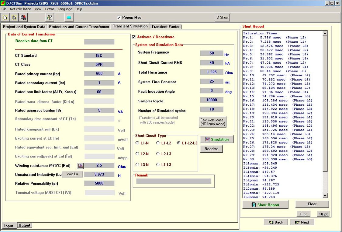 Input window for transient simulation in CTDim