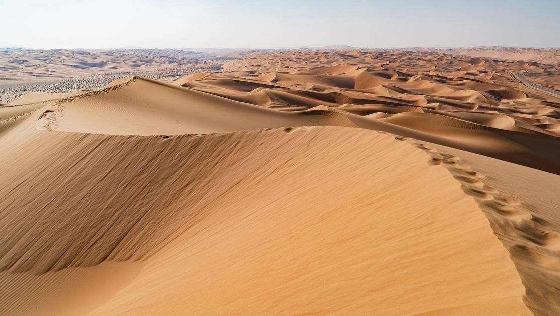 Picture of a desert landscape