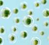 Transparent bubbles containing flower meadows to symbolize green hydrogen transition