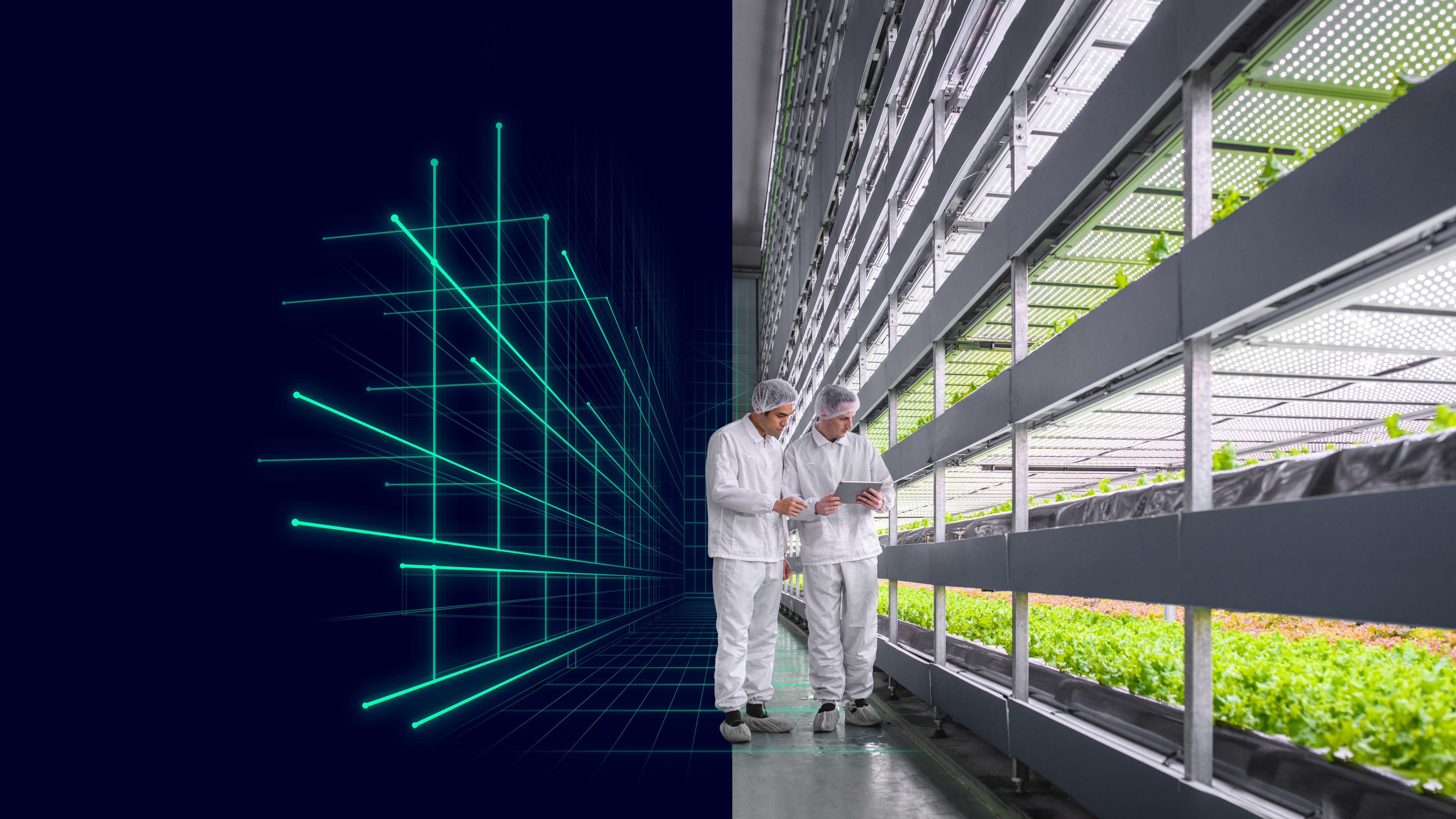 Scaling vertical farming: Siemens ensures perfect plant growth, Press, Company