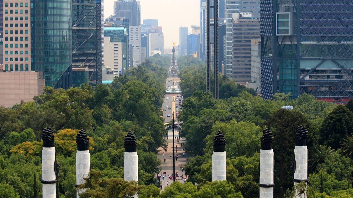 El futuro verde de la ciudad de México