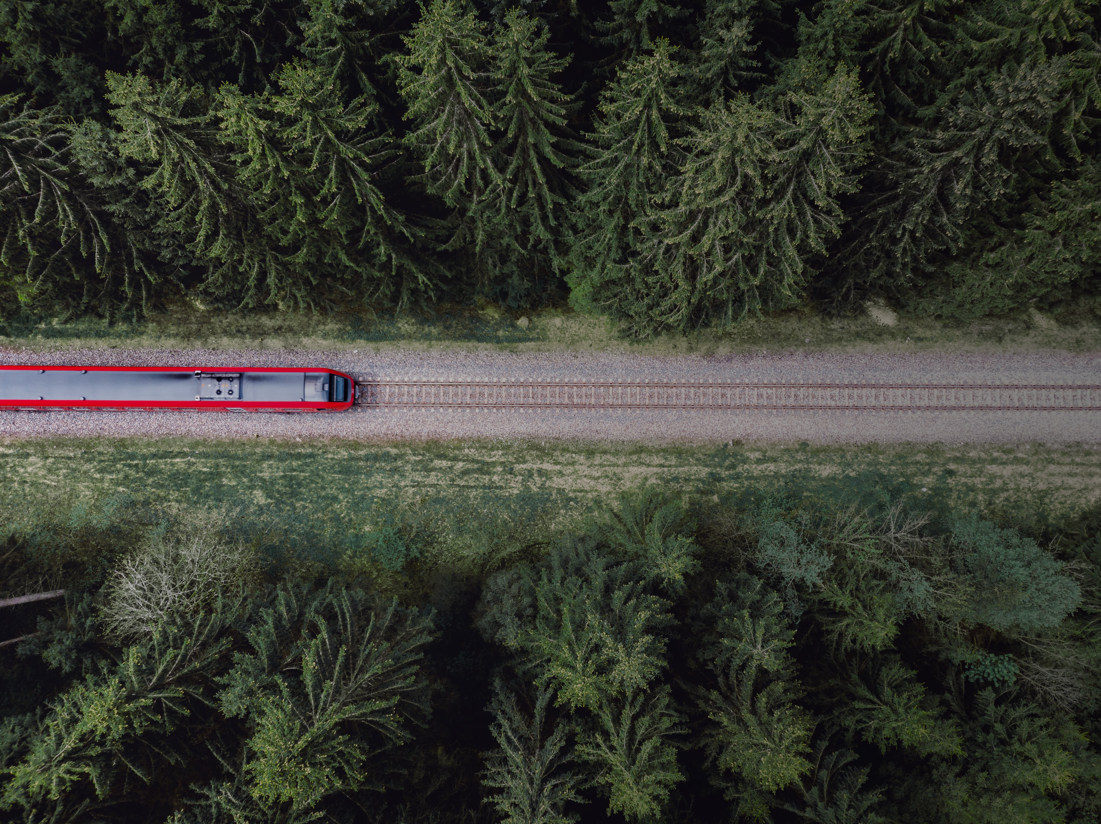 Bird’s eye: A train is driving through a forest Trends in mobility