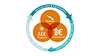 Total Energy Management – a new approach to energy and sustainability management