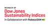 Dow Jones Sustainability Indices logo