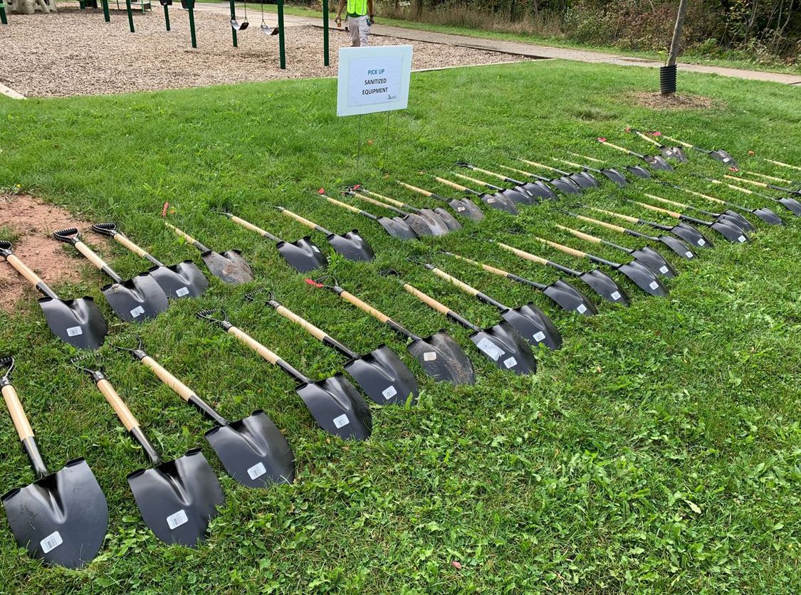 Siemens volunteers planting trees