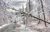storm damage